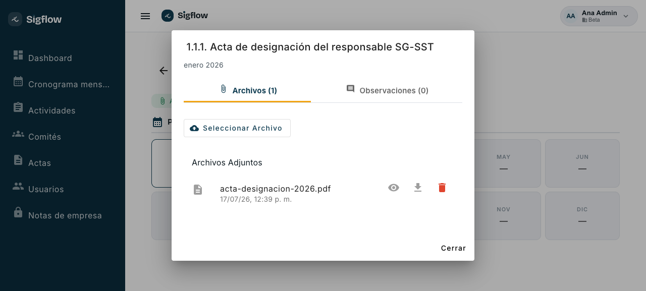 Archivo de evidencia adjuntado, con opciones de ver, descargar y eliminar